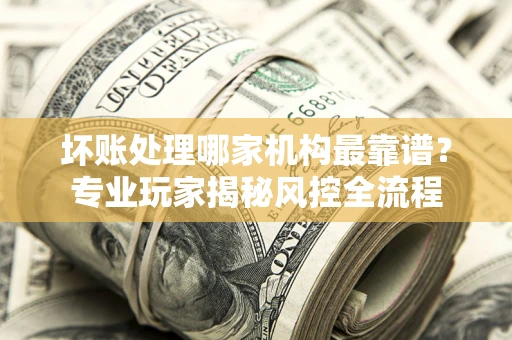 济南坏账处理哪家机构最靠谱？专业玩家揭秘风控全流程