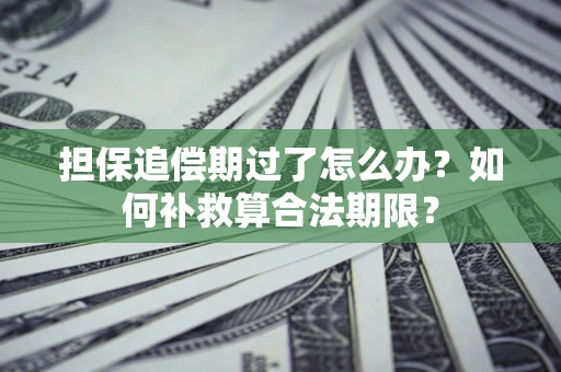 济南担保追偿期过了怎么办？如何补救算合法期限？