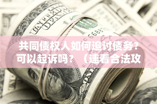 济南共同债权人如何追讨债务？可以起诉吗？（速看合法攻略）